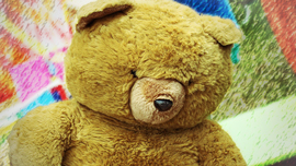 teddy-338247_1280s