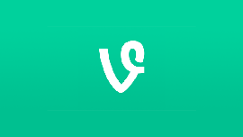 vine10082