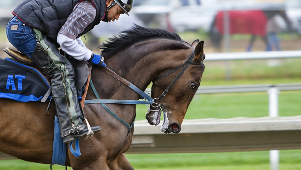 Jraの競馬cm動画４選 Mobercial