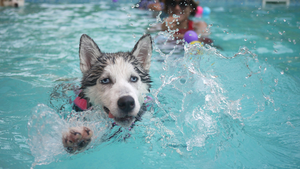 pool