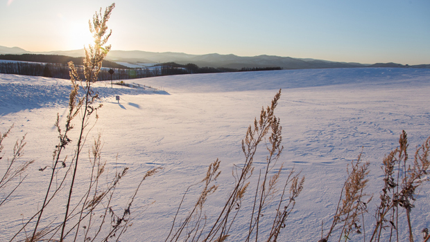 hokkaido