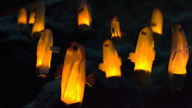 動画と組み合わせて感銘度アップ！「ムーミン・リトルミィ」の人間性を知ってから名言を見ると、一層刺さる