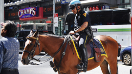 テイラー“口パク”の新作あり！ 警察もWeb動画を使って安全を呼びかける時代