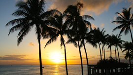 ハワイ旅行の人気が続く理由は、Web動画にあった!?