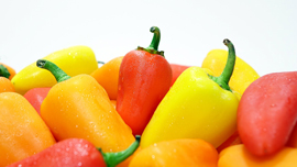 シミや肌荒れを防いで、免疫力もアップ！動画で簡単「夏野菜」を使ったレシピ動画集