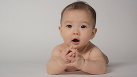 面白い＆癒される！ペットと赤ちゃんが触れ合う和み系動画まとめ