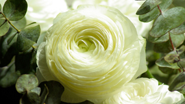 作り方がわかる！動画で見る花のアート作品集！