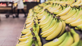 身近な食品についての動画もたくさん