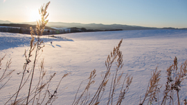 人気観光地の裏に動画ＣＭあり！？