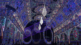 【動画で下見】絶対に行きたい関東近郊のクリスマスイルミネーション５選