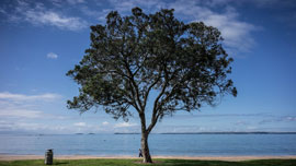 CMロケ地を撮影した動画４つ