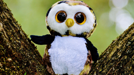 調べてみた！動物をロゴにしている企業動画には、「その動物」が登場しているのか