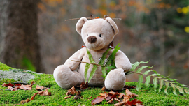 ストップモーションの活用事例！コマ撮りによるぬいぐるみ人形劇の動画が面白い！