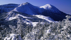 日本をすべて知っていますか？日本の美しい冬を動画で体感してみよう！