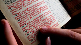 知ってる？いろいろな調査結果をまとめたYouTube動画