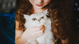 ペットのためにも知っておきたい！今話題のペット保険企業のCM７選