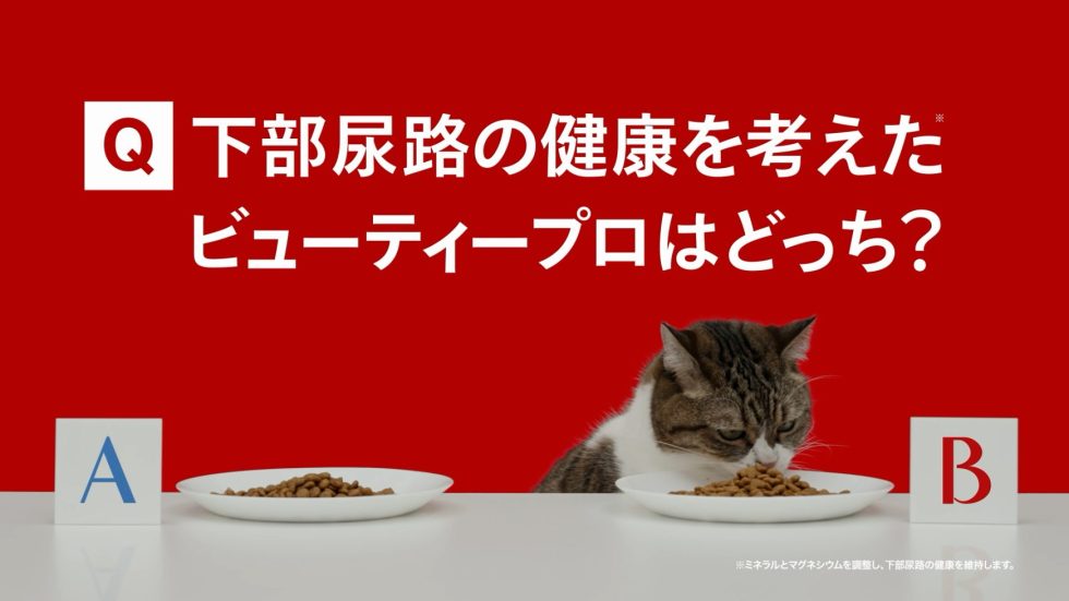 日本ペットフード株式会社様