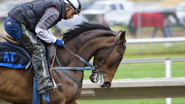 ちょっとユニーク！？競馬のコマーシャル集