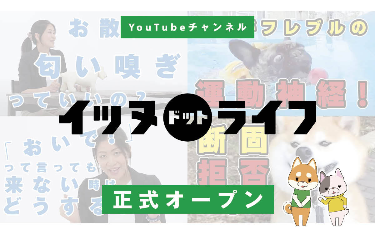 犬専門YouTubeチャンネル「イッヌドットライフ」を正式オープン！ 専門家によるお役立ち情報や、人気インスタグラマー動画、内山勇士監督の新作などを収録 ～チャンネルに登場したい犬たちを募集、採用動画にはオリジナルエコバックをプレゼント！～